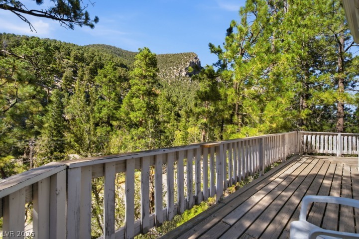 3910 White Fir Way Property Photo 76