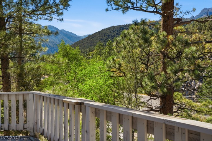 3910 White Fir Way Property Photo 78