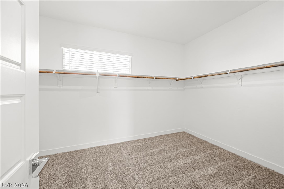 10012 Decano Ridge Street Property Photo 41