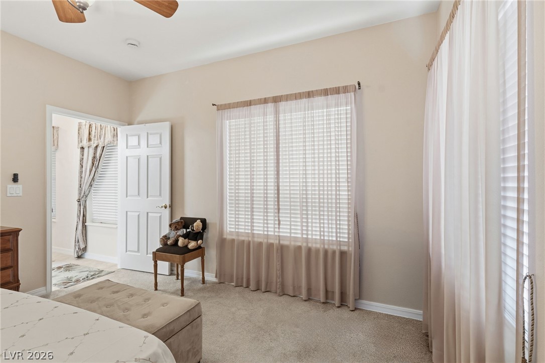 3471 Cottage Thistle Drive Property Photo 43