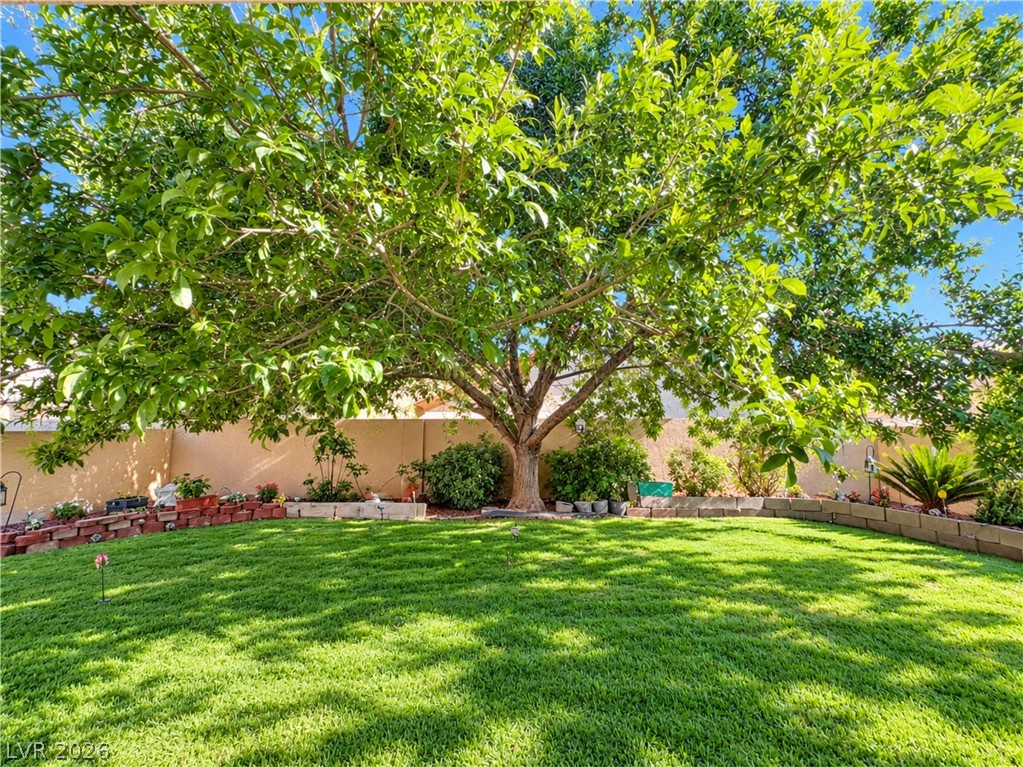 132 Cora Hills Court Property Photo 18