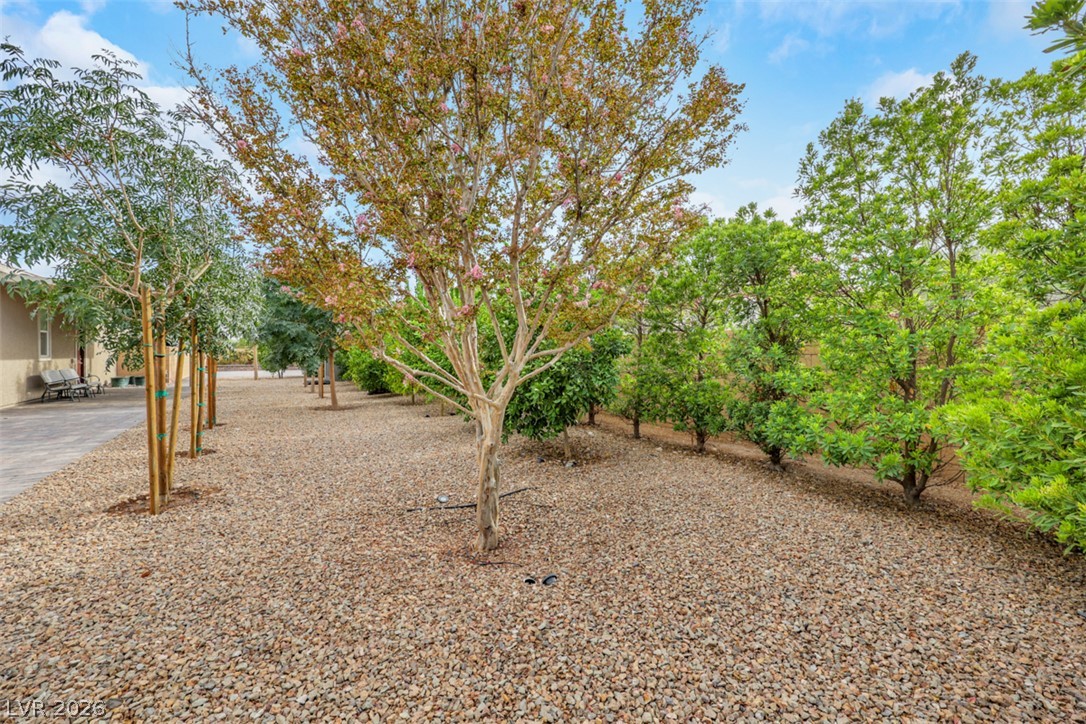 8425 South Tenaya Way Property Photo 72