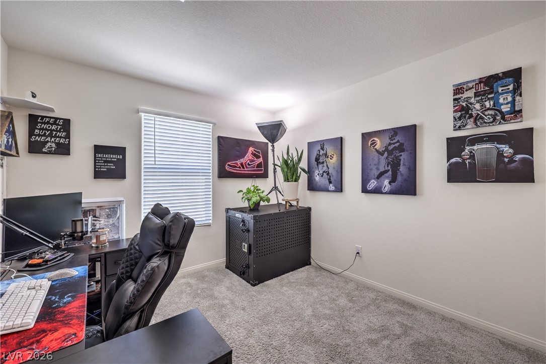 6816 Citron Mist Court Property Photo 25