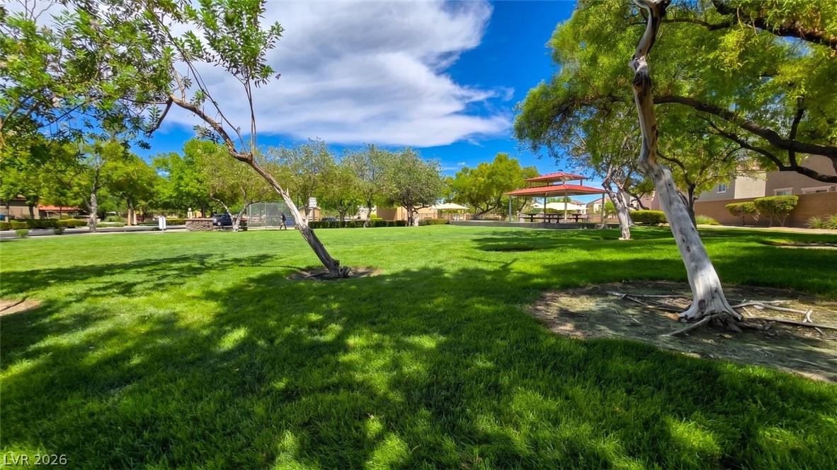 9041 Silken Crests Court Property Photo 33