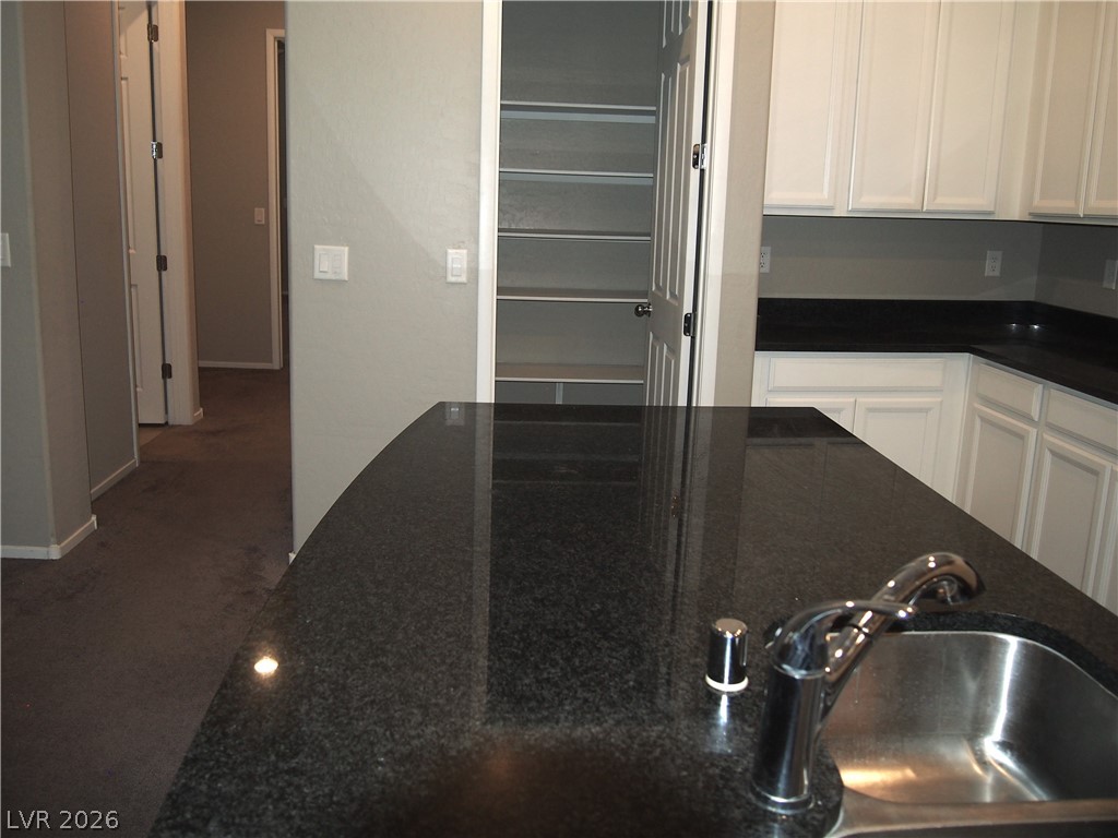 735 Orange Plume Walk Property Photo 10