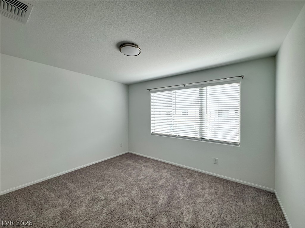 5958 Night Hawk Hill Street Property Photo 19