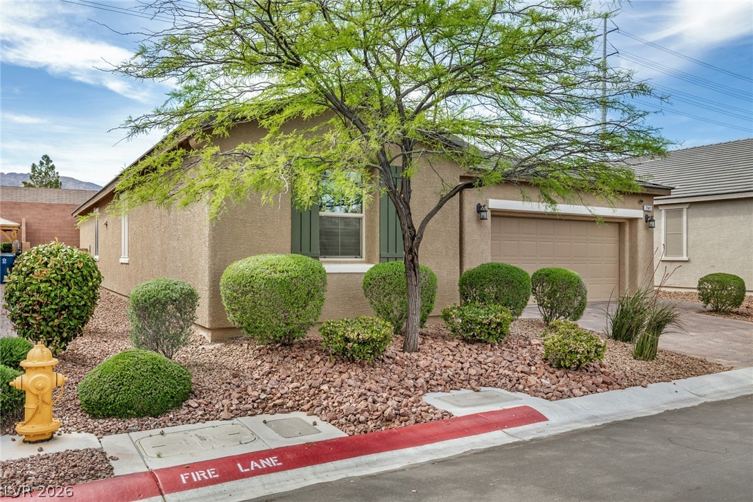 7141 Flora Lam Street Property Photo 5