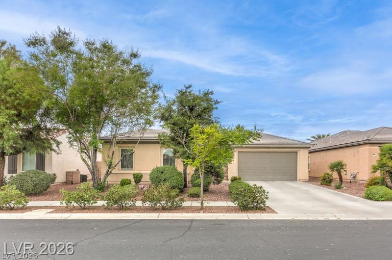 8213 Bay Dunes Street Property Photo 1