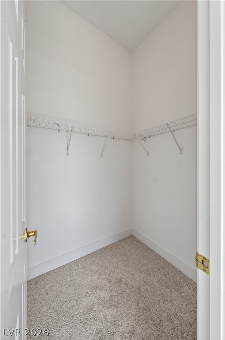 77 Blue Beak Way Property Photo 30