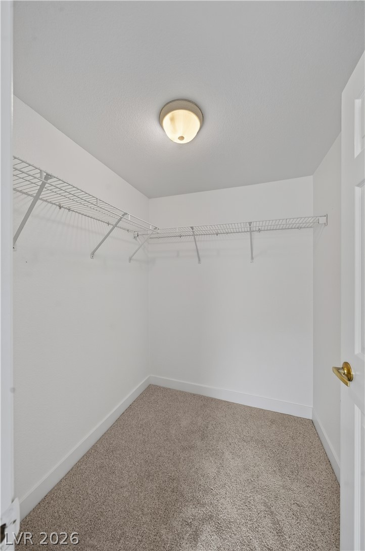 77 Blue Beak Way Property Photo 32