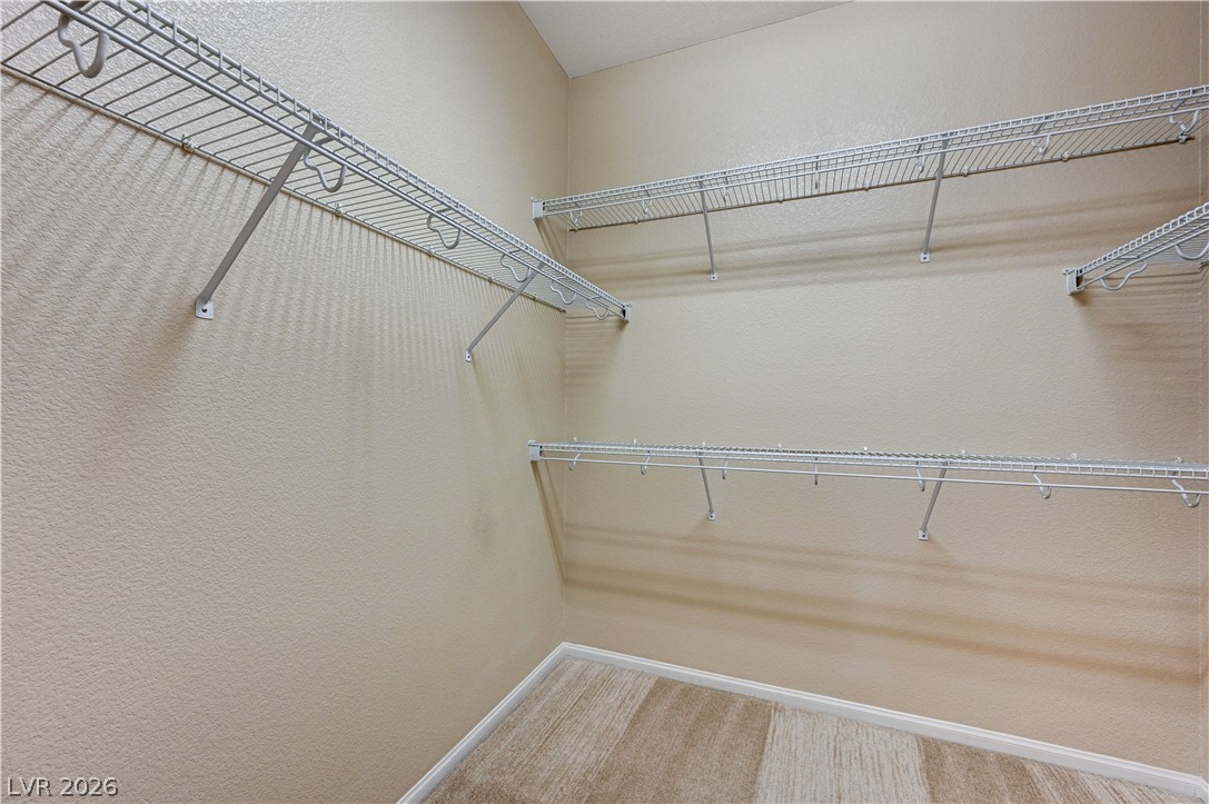 11371 Corsica Mist Avenue Property Photo 39