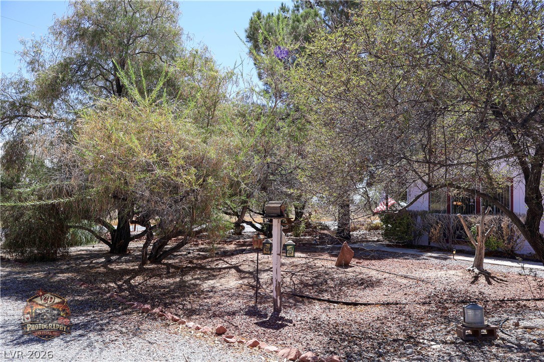 1380 South Happy Lane Property Photo 7