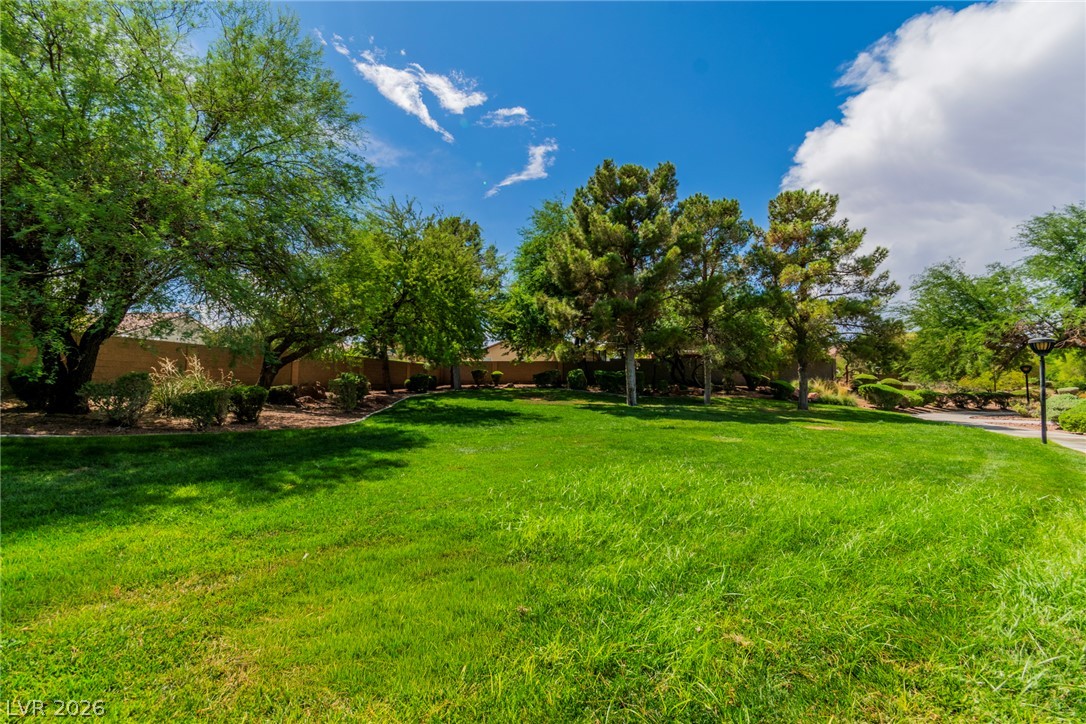 3417 Conterra Park Avenue Property Photo 38
