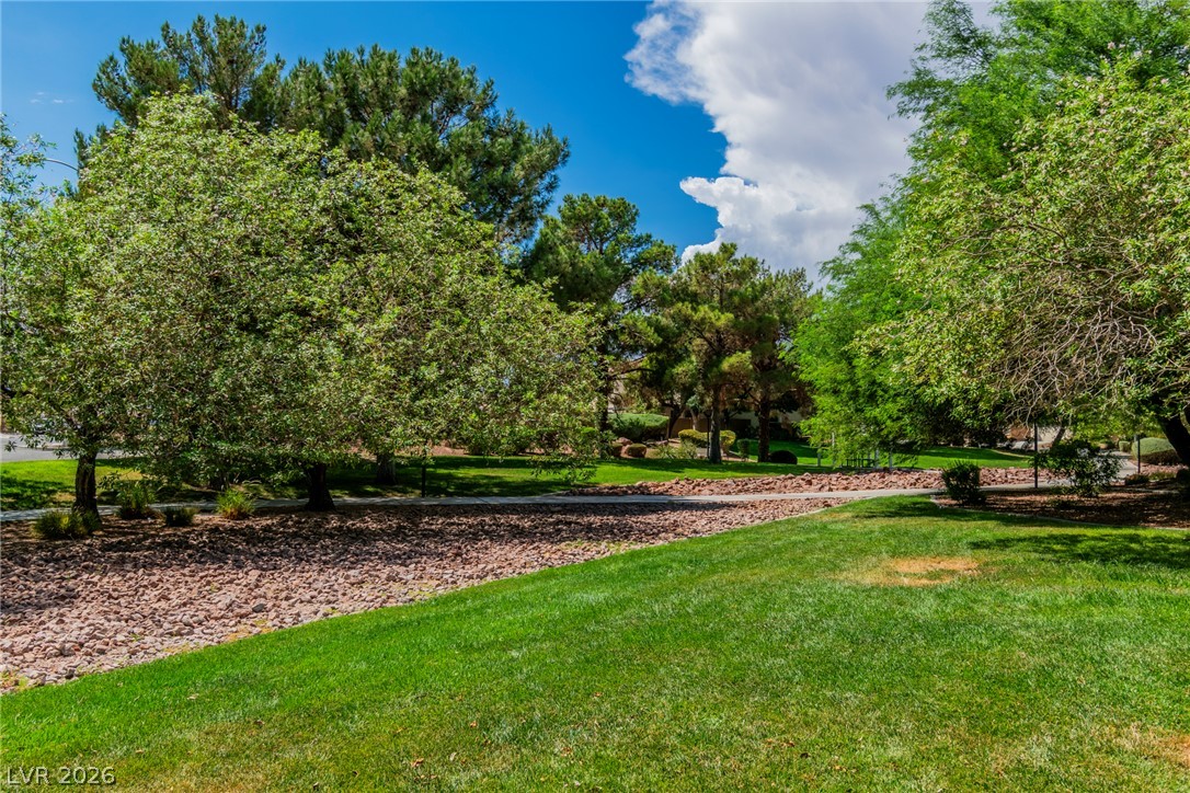 3417 Conterra Park Avenue Property Photo 41