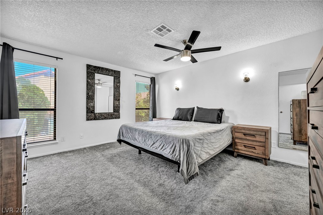 2804 Willow Wind Court Property Photo 49