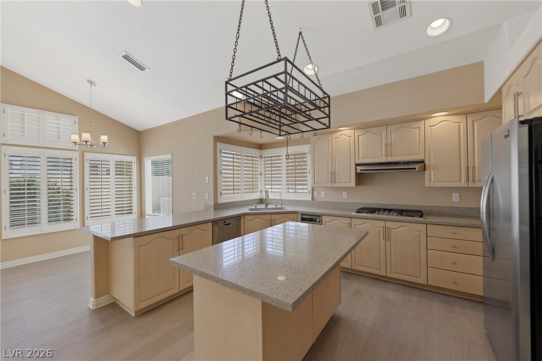 8133 Horizon Lake Drive Property Photo 20