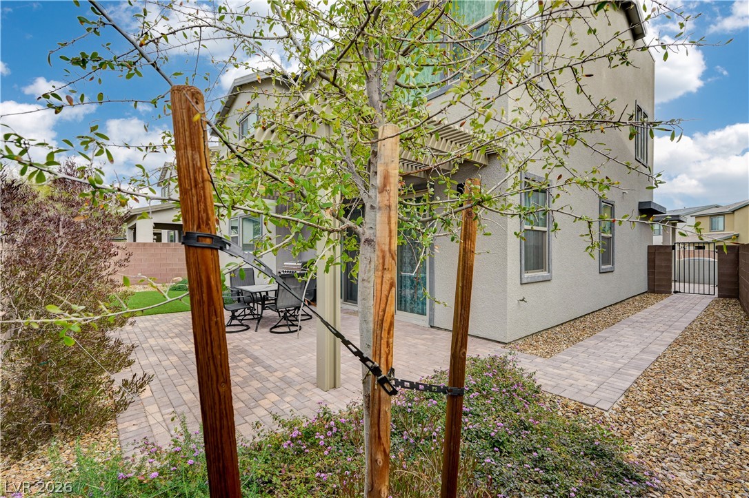 6853 Desert Finch Street Property Photo 60