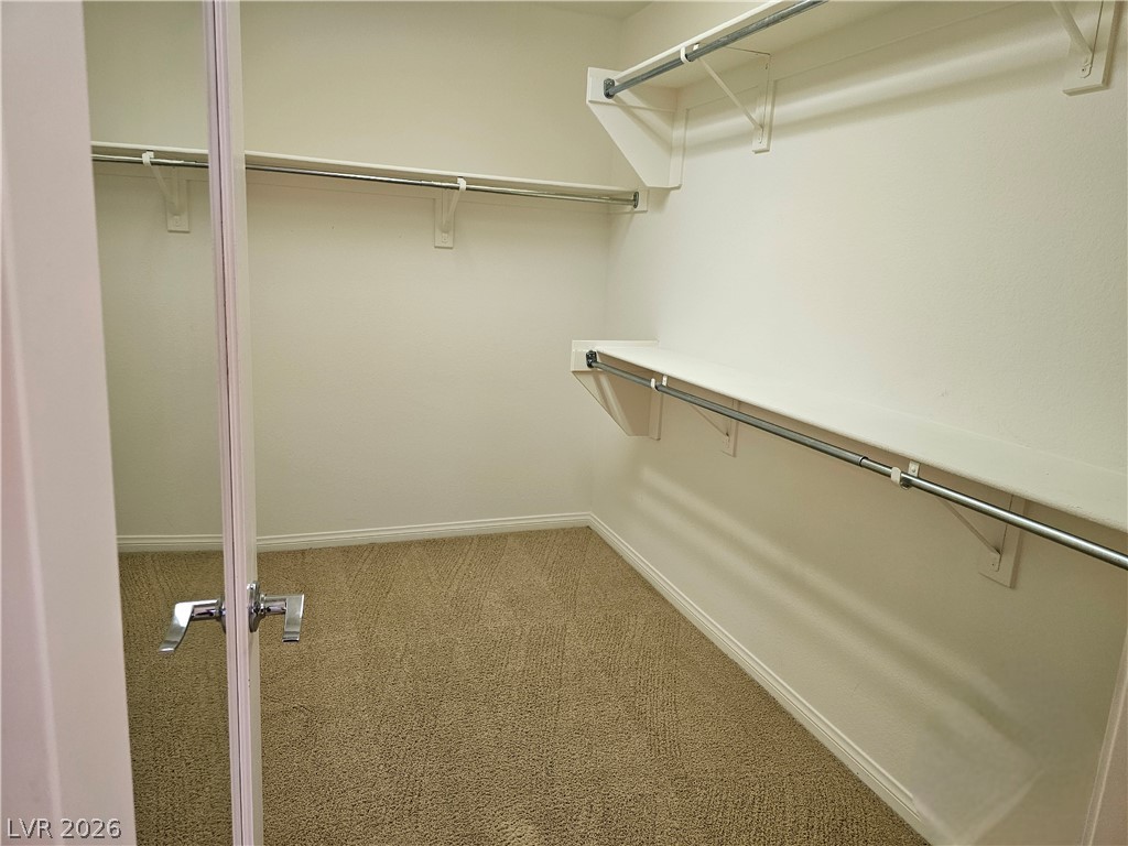 10603 Gibbous Moon Drive Property Photo 22
