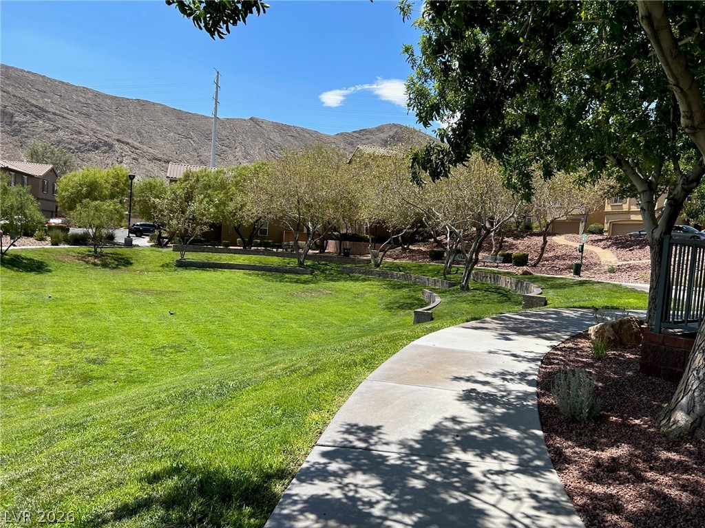 10603 Gibbous Moon Drive Property Photo 39