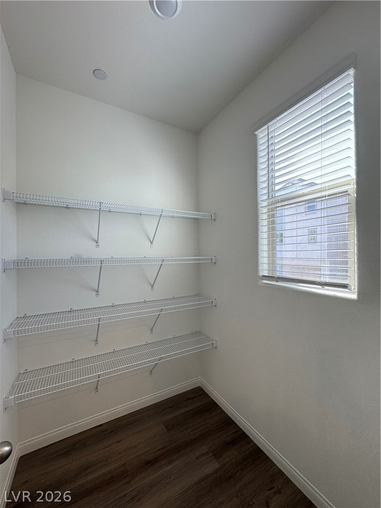 1510 Bat Hawk Street Property Photo 27