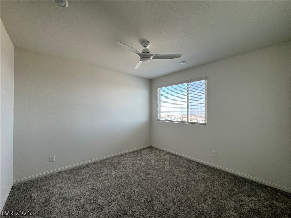 1510 Bat Hawk Street Property Photo 29