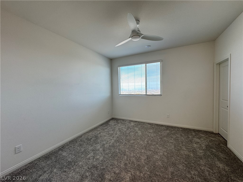 1510 Bat Hawk Street Property Photo 30