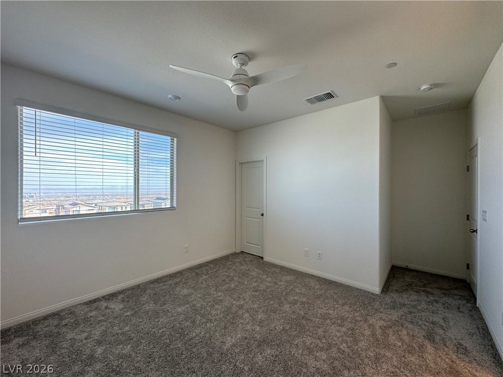 1510 Bat Hawk Street Property Photo 31