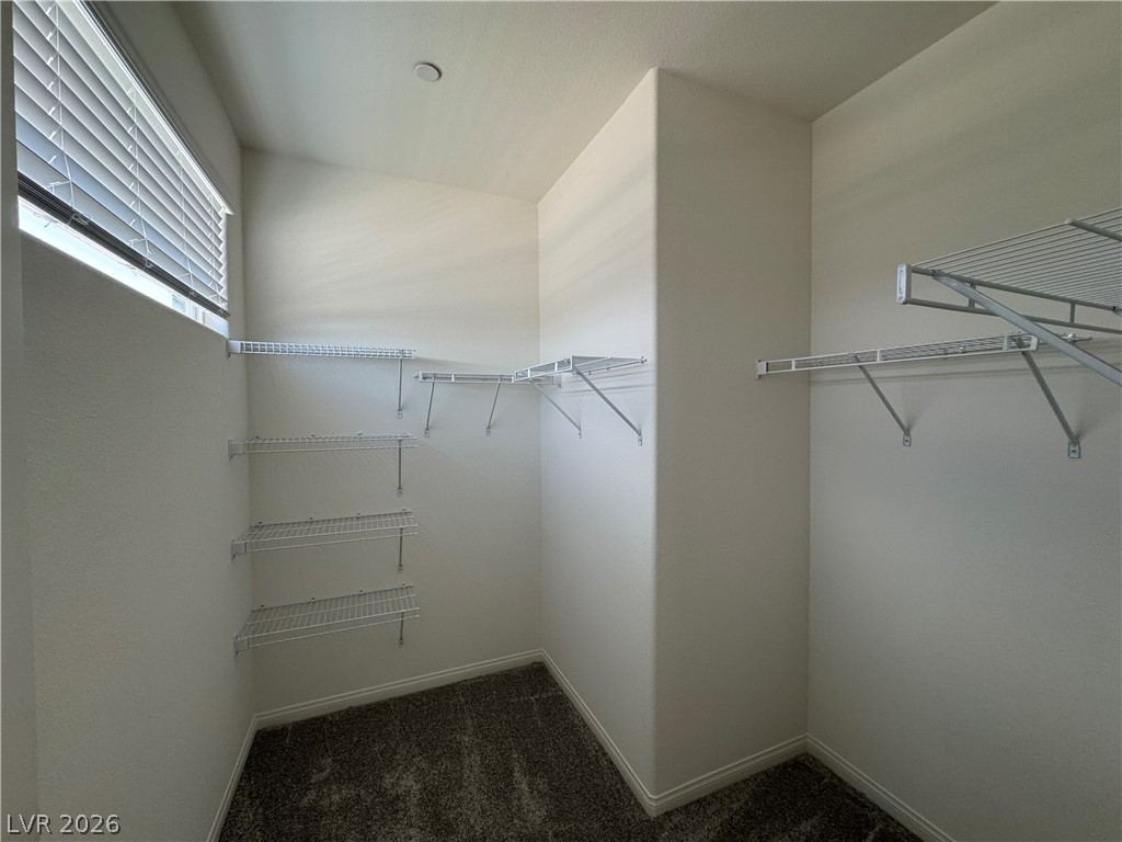 1510 Bat Hawk Street Property Photo 32