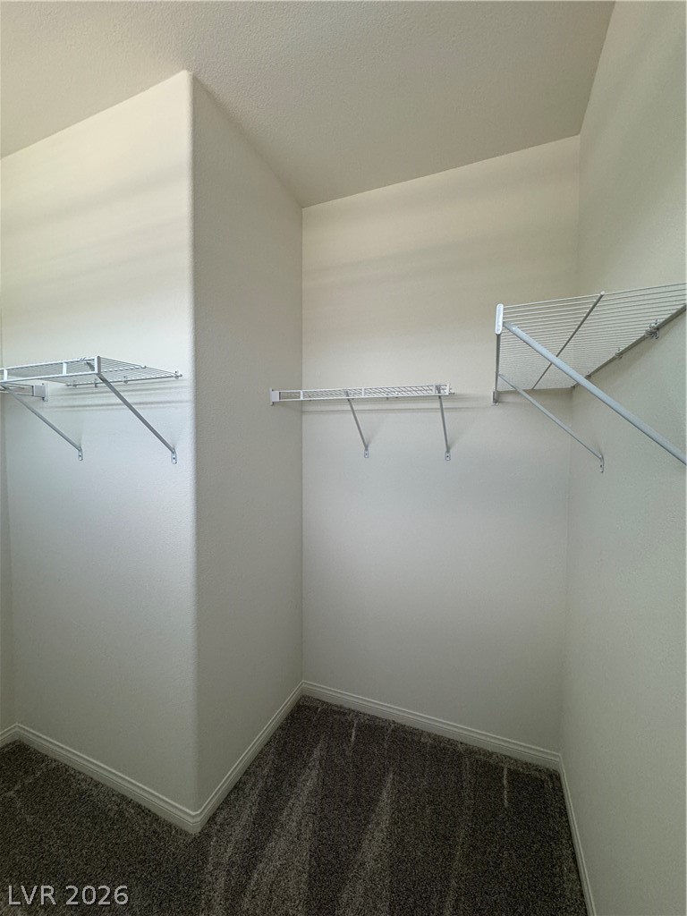1510 Bat Hawk Street Property Photo 33