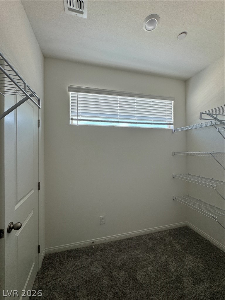 1510 Bat Hawk Street Property Photo 34