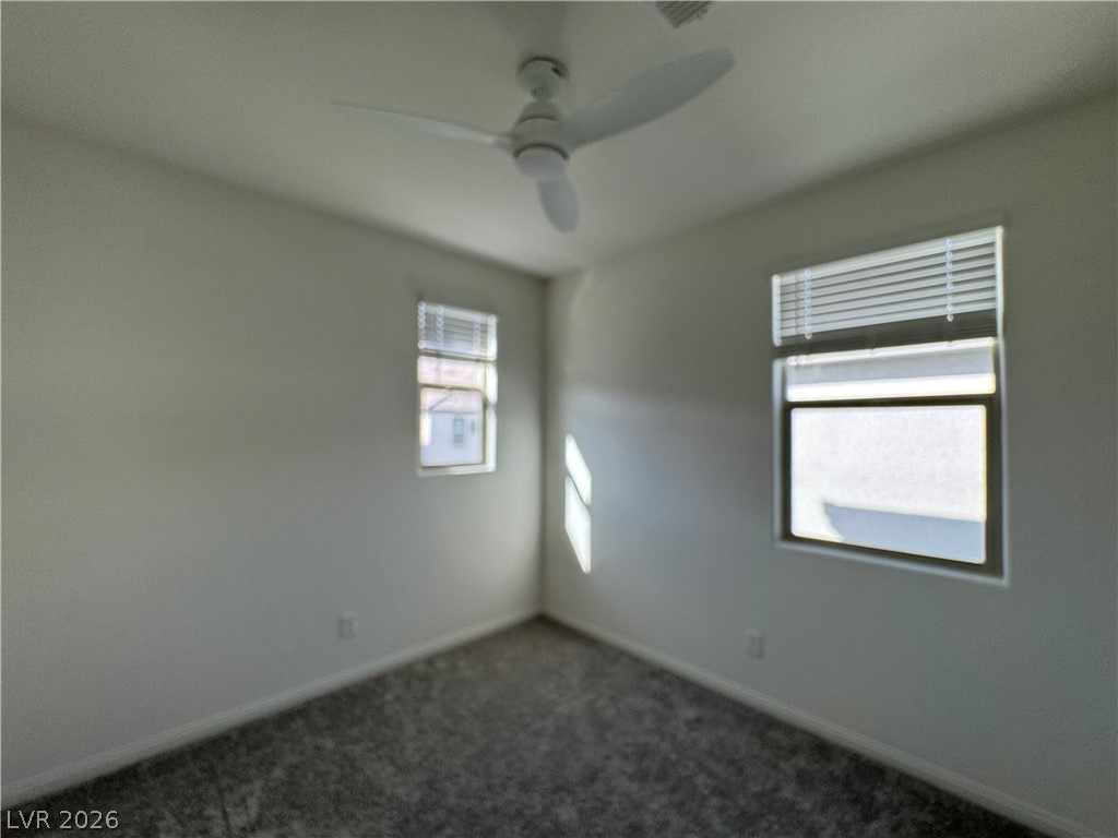 1510 Bat Hawk Street Property Photo 44