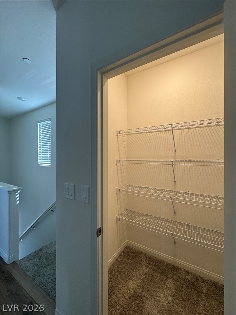1510 Bat Hawk Street Property Photo 46