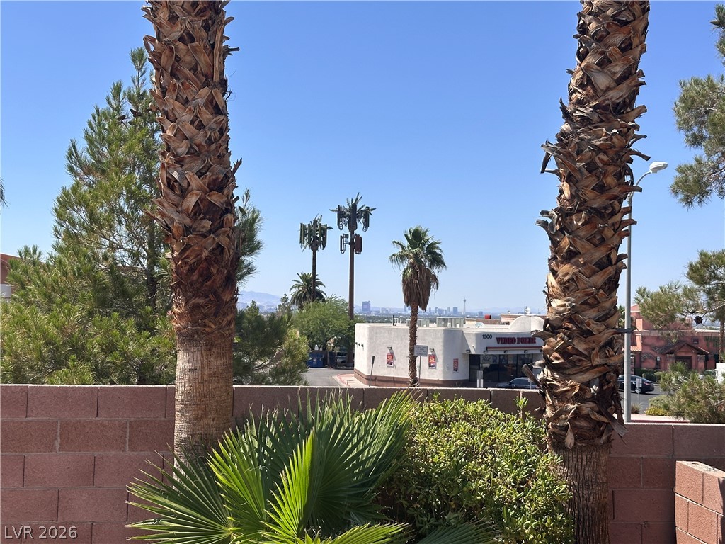 1506 Emerald Peak Avenue Property Photo 41