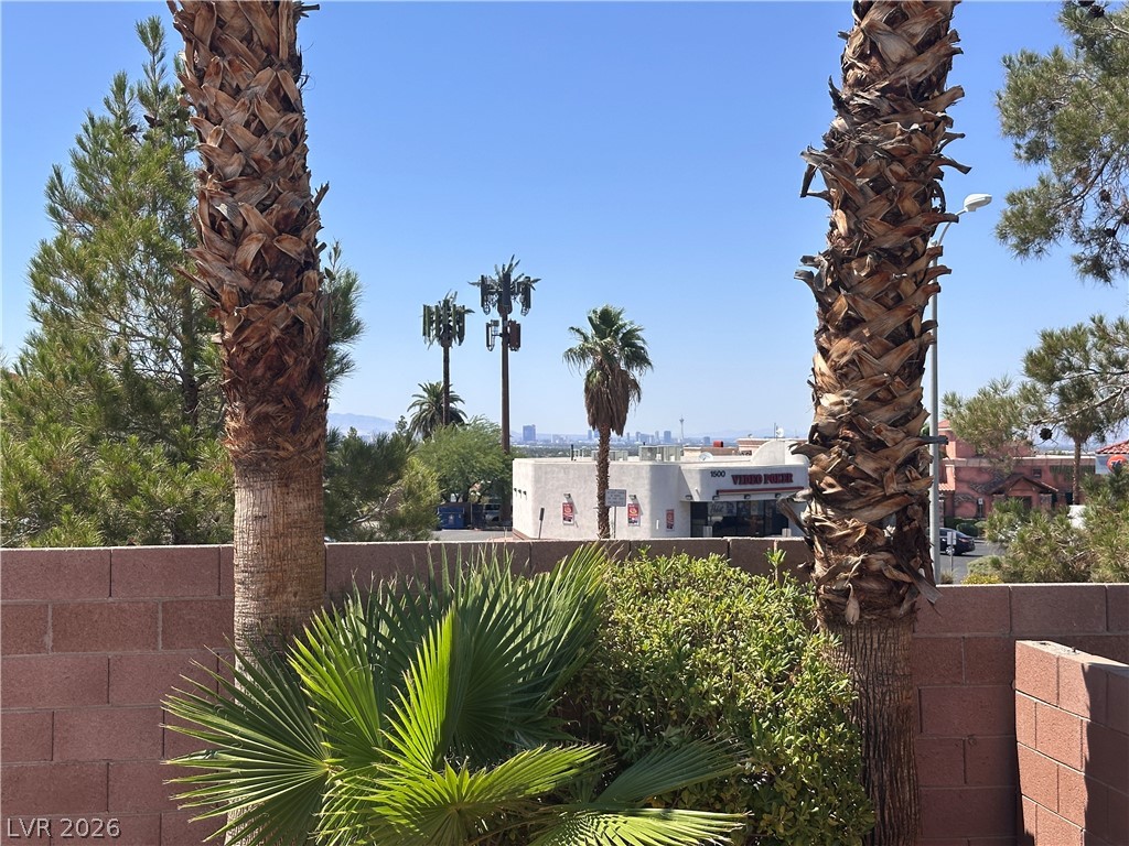 1506 Emerald Peak Avenue Property Photo 42