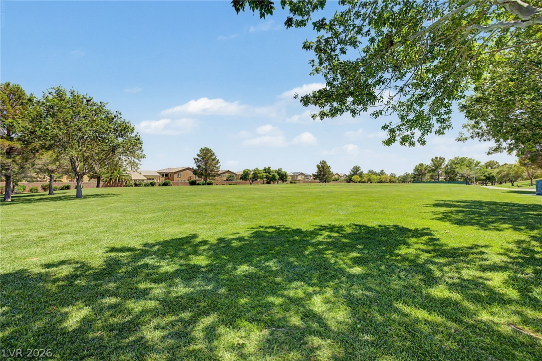 2924 Dowitcher Avenue Property Photo 37