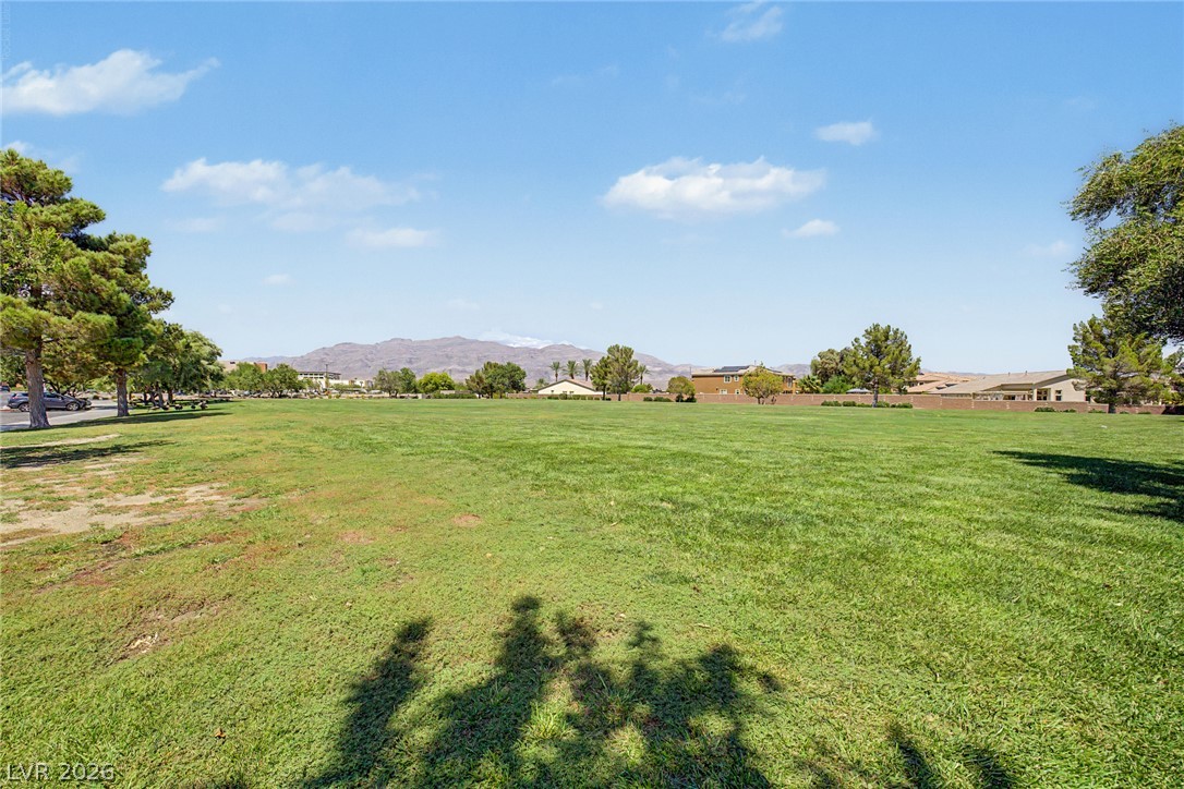 2924 Dowitcher Avenue Property Photo 38