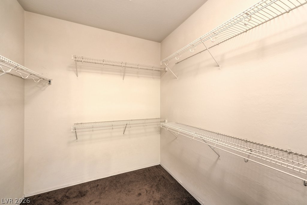 2921 Ivorybill Way Property Photo 23