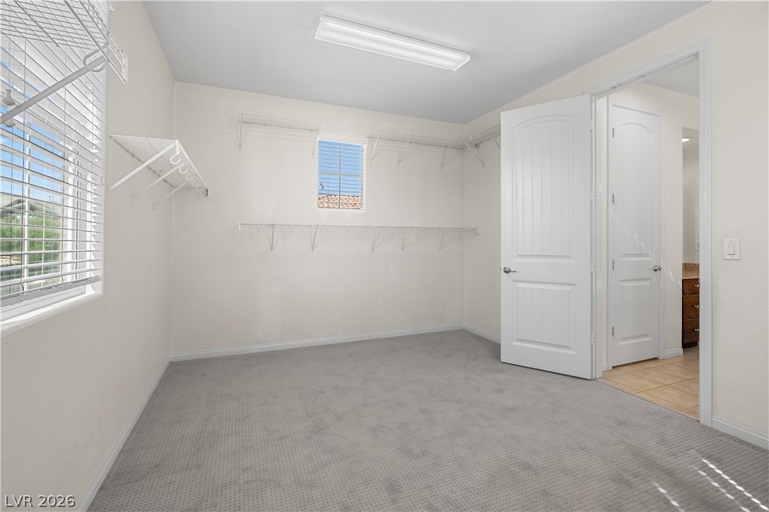 3173 Degas Tapestry Avenue Property Photo 38