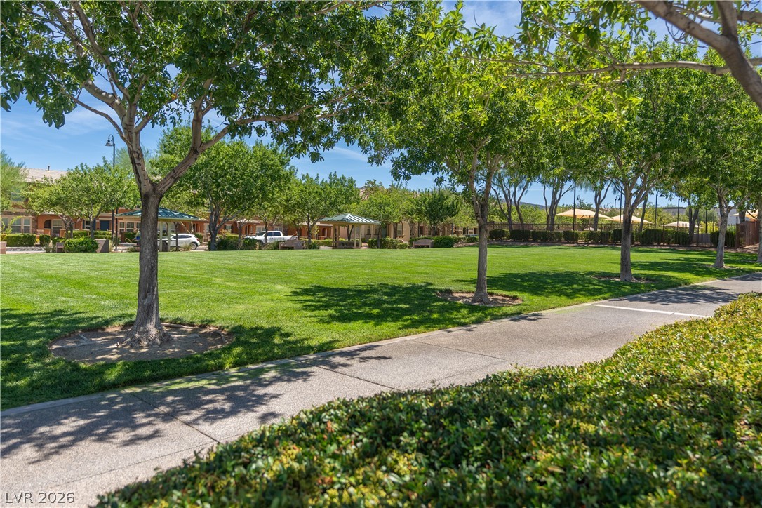 3173 Degas Tapestry Avenue Property Photo 50
