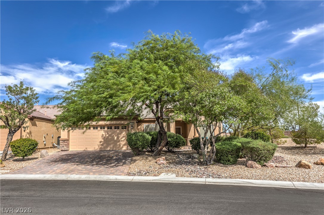 7340 Petrel Street Property Photo 1