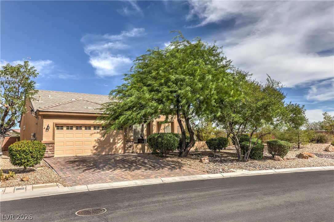 7340 Petrel Street Property Photo 3