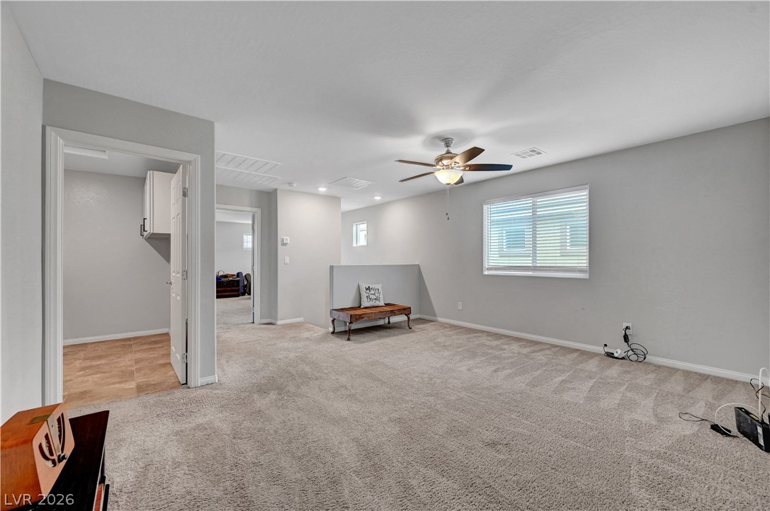 4439 Stardusk Falls Avenue Property Photo 35