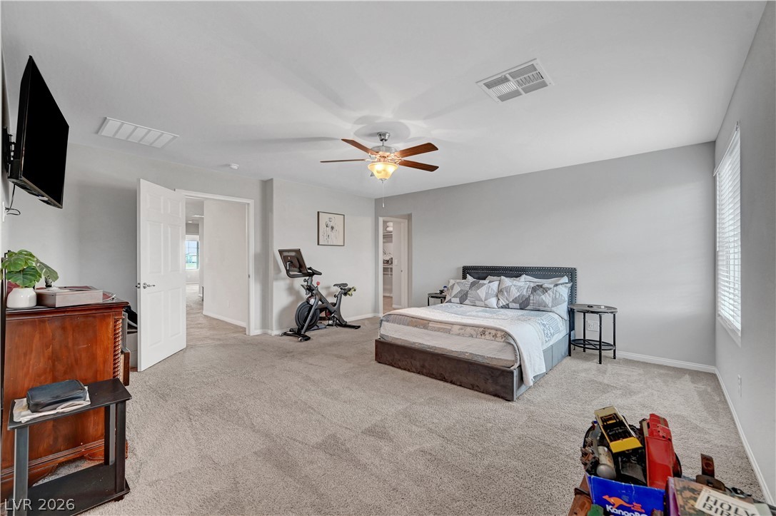 4439 Stardusk Falls Avenue Property Photo 39