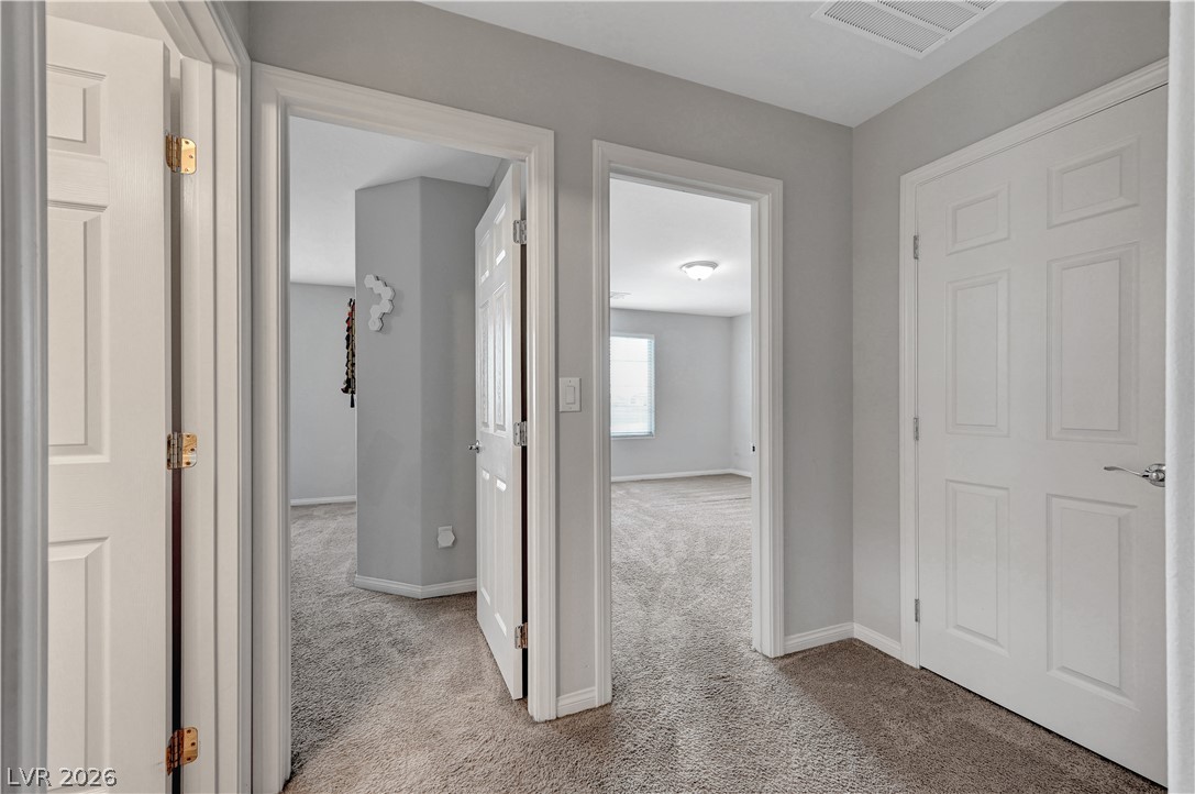 4439 Stardusk Falls Avenue Property Photo 46