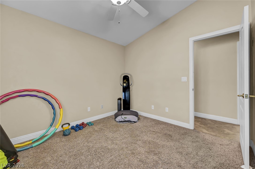 1011 Rose River Court Property Photo 35