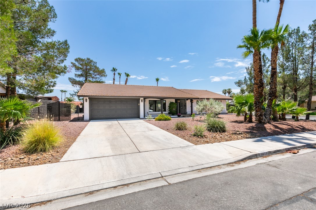 3360 Paso Andres Street Street Property Photo 17