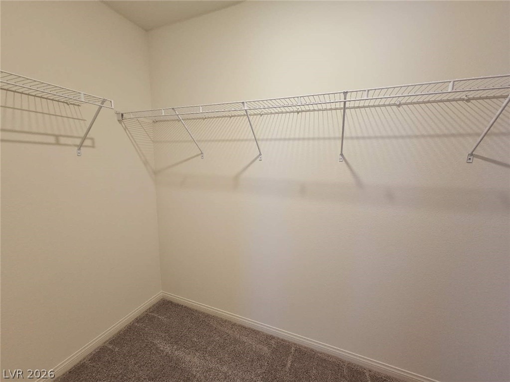 4105 Scarlet Cob Avenue Property Photo 7