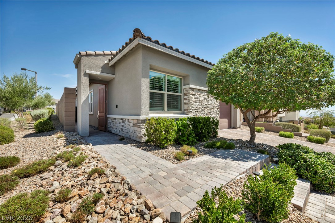11584 Painted Chasm Way Property Photo 2