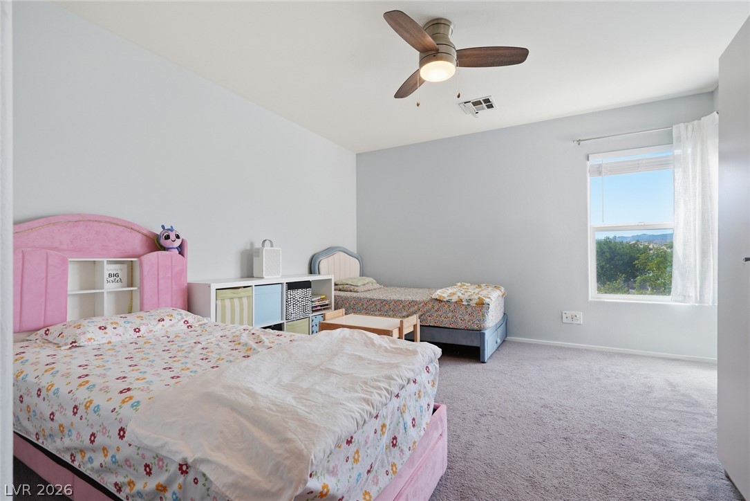 6597 Roundstone Bog Avenue Property Photo 22