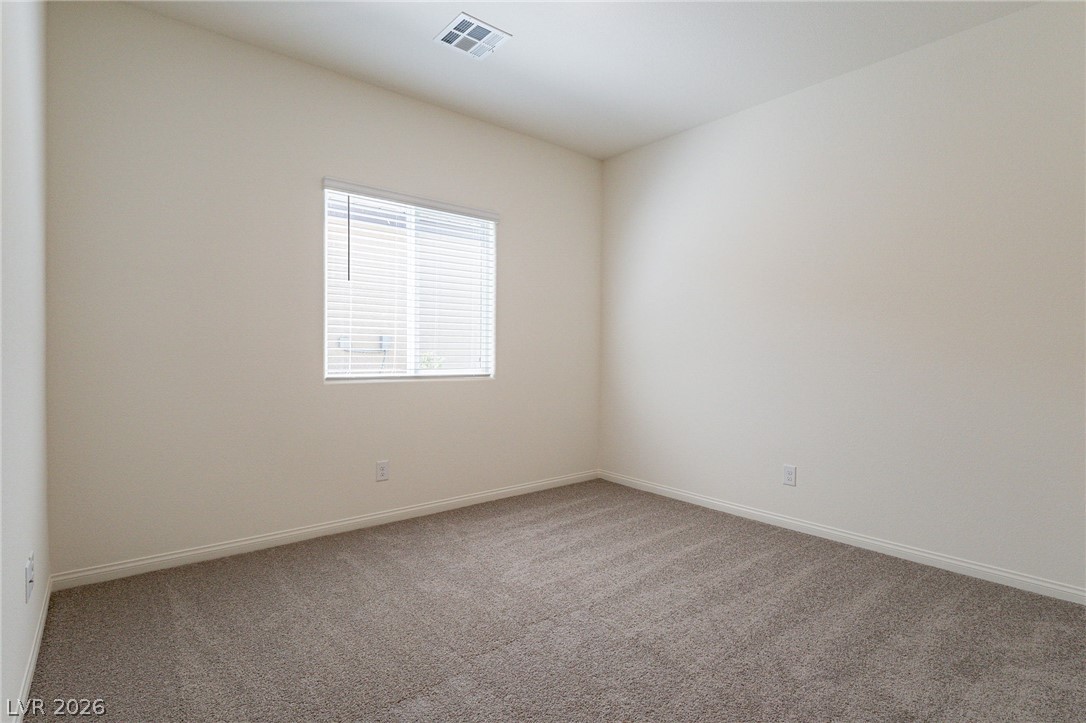 1691 Douglas Creek Street Property Photo 20